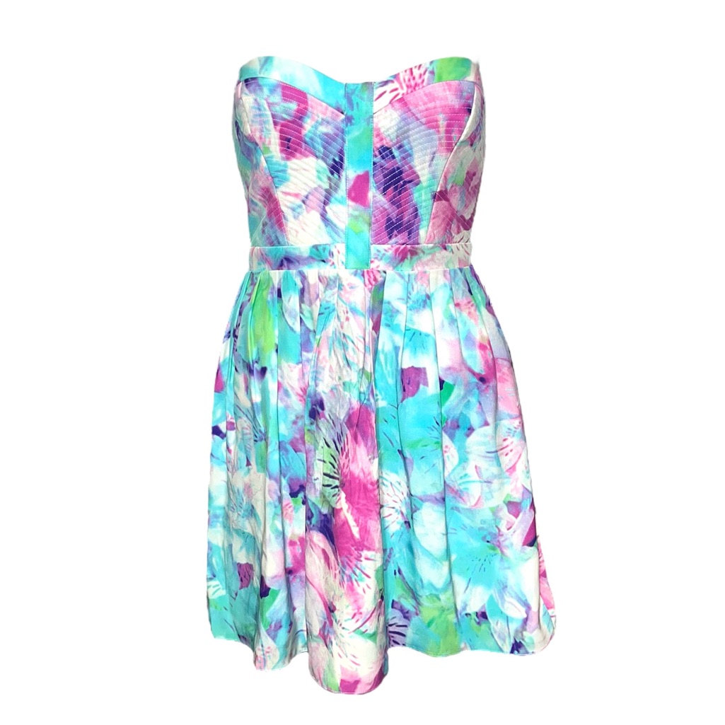 Parker Lily Monet Silk Strapless Watercolor Floral Mini Skater Dress Size Small